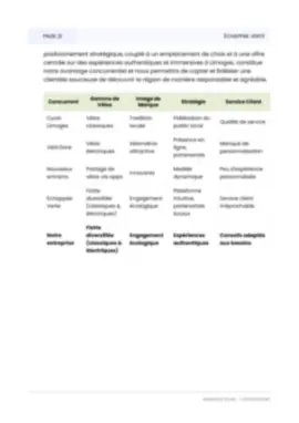 Business Plan Page 20