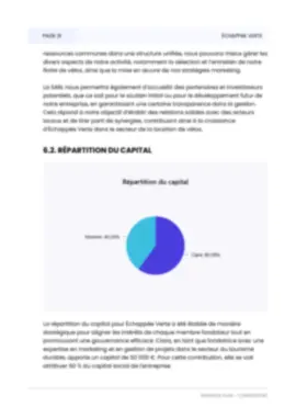 Business Plan Page 30