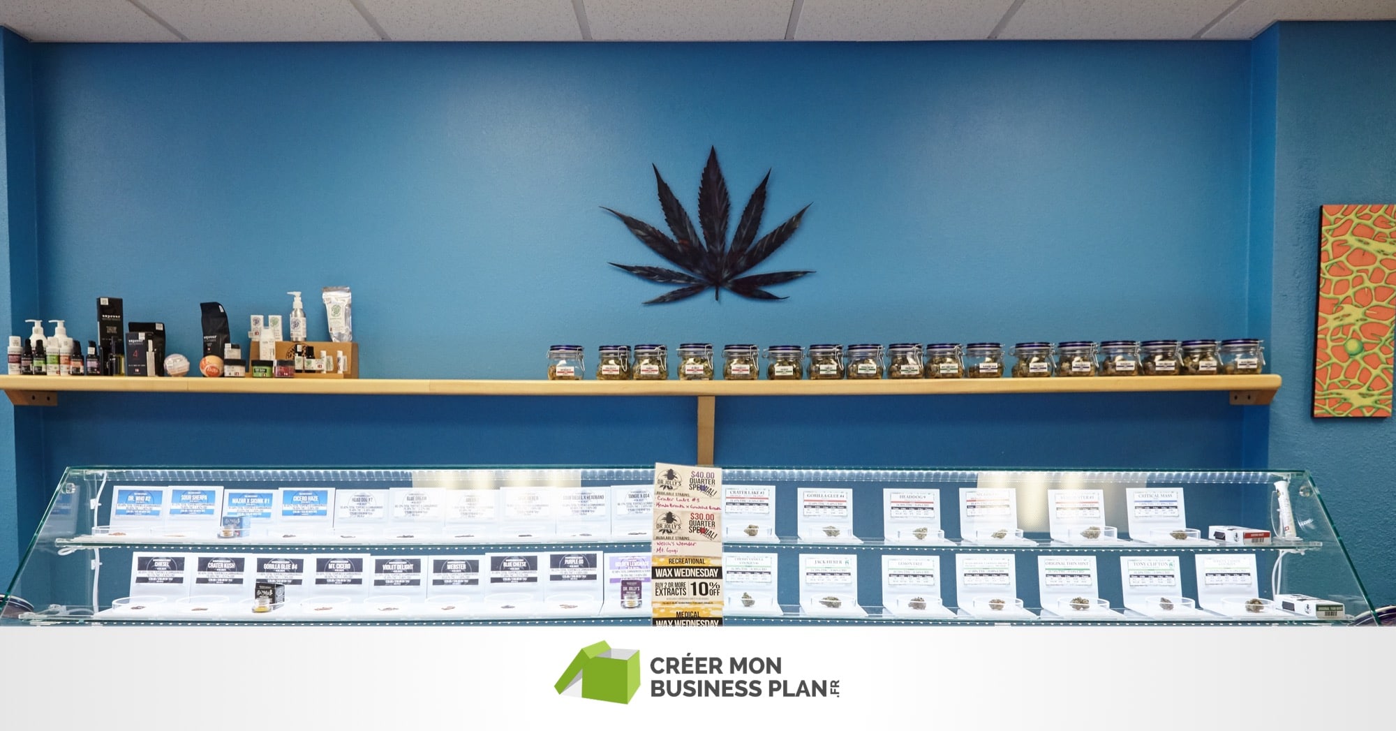 Nos conseils pour faire son Business Plan Boutique de CBD